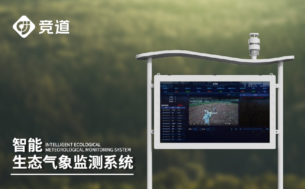 �������Ӽ��վ�����������������������������ֶ�