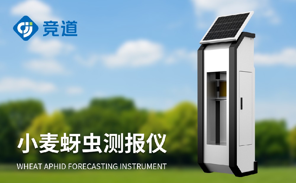 С���������ǵĹ�Ч����������