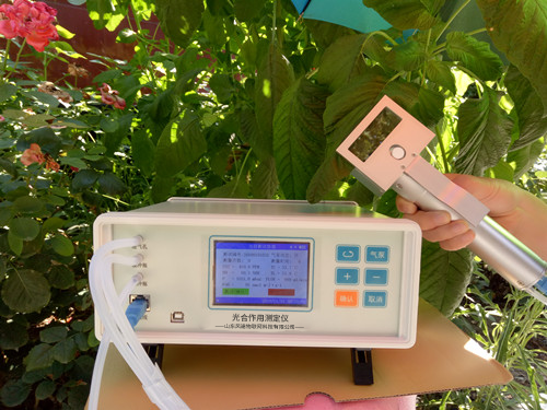 ֲ���������к�Ӧ�ã�������������