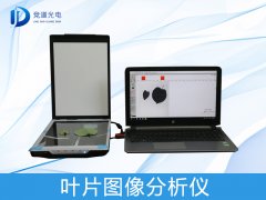 ҶƬͼ��������������������������