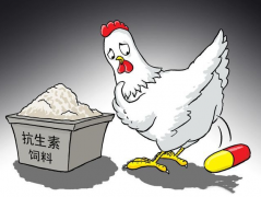 ʳ�￹���ز����������������������������⣿��������������